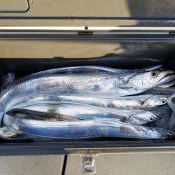 遊漁船 ニライカナイ 釣果