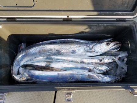 遊漁船 ニライカナイ 釣果