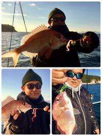 YELLOW-TAIL　イエローテール 釣…