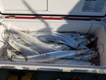 遊漁船 ニライカナイ 釣果