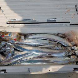 遊漁船 ニライカナイ 釣果