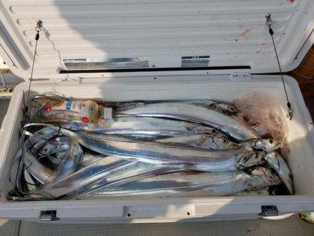 遊漁船 ニライカナイ 釣果