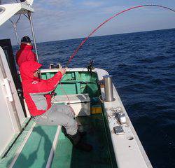 第二むつ漁丸 釣果