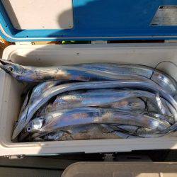 遊漁船 ニライカナイ 釣果