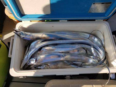 遊漁船 ニライカナイ 釣果