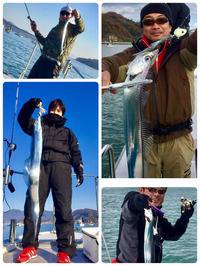 YELLOW-TAIL　イエローテール 釣果