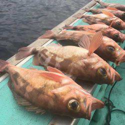 広進丸 釣果