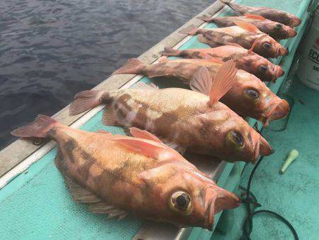 広進丸 釣果