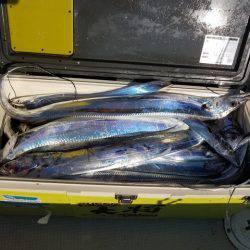 遊漁船 ニライカナイ 釣果