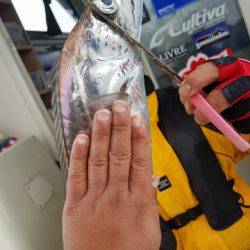 遊漁船　ニライカナイ 釣果