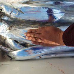 遊漁船 ニライカナイ 釣果