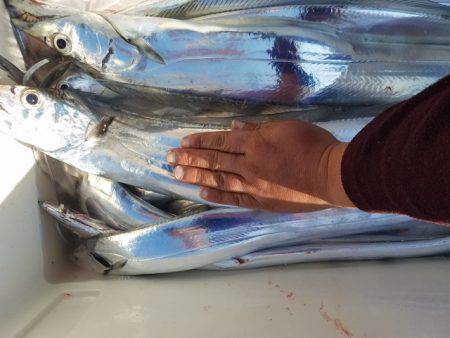 遊漁船 ニライカナイ 釣果