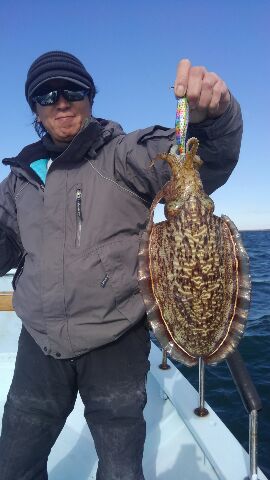 東京湾探釣隊ぼっち 釣果