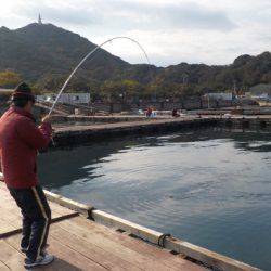 淡路じゃのひれフィッシングパーク 釣果