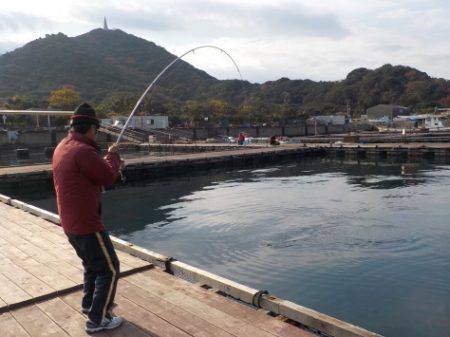 淡路じゃのひれフィッシングパーク 釣果