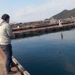 淡路じゃのひれフィッシングパーク 釣果