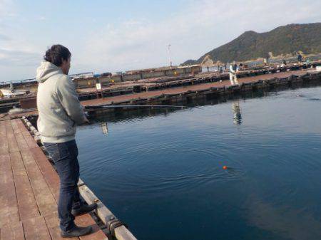 淡路じゃのひれフィッシングパーク 釣果
