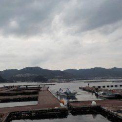 淡路じゃのひれフィッシングパーク 釣果