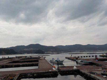 淡路じゃのひれフィッシングパーク 釣果