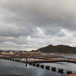 淡路じゃのひれフィッシングパーク 釣果