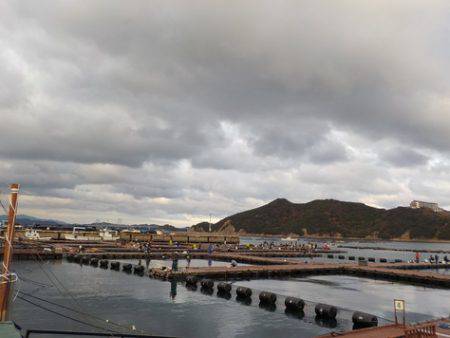 淡路じゃのひれフィッシングパーク 釣果