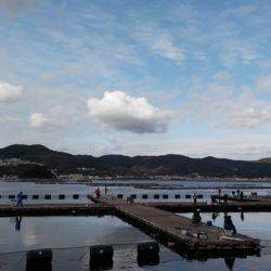 淡路じゃのひれフィッシングパーク 釣果