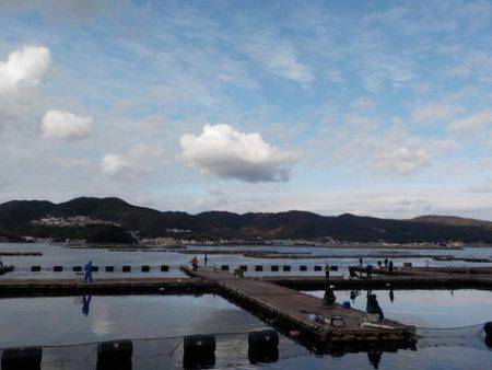 淡路じゃのひれフィッシングパーク 釣果