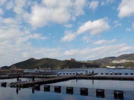 淡路じゃのひれフィッシングパーク 釣果