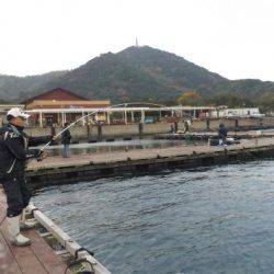 淡路じゃのひれフィッシングパーク 釣果