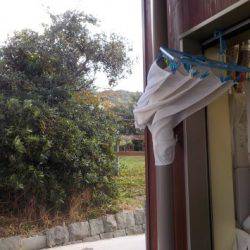 淡路じゃのひれフィッシングパーク 釣果