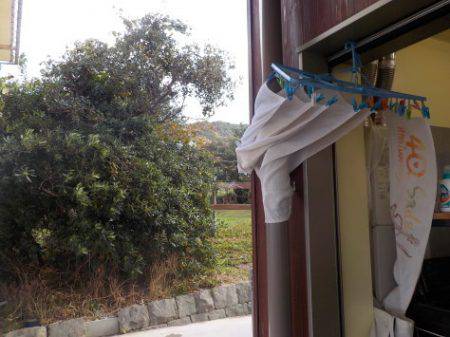 淡路じゃのひれフィッシングパーク 釣果