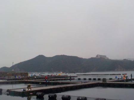 淡路じゃのひれフィッシングパーク 釣果