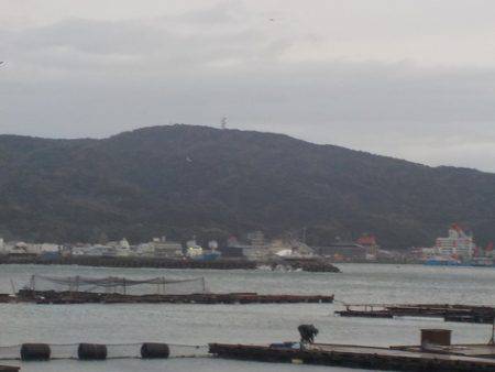 淡路じゃのひれフィッシングパーク 釣果