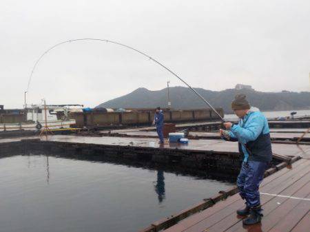淡路じゃのひれフィッシングパーク 釣果
