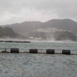 淡路じゃのひれフィッシングパーク 釣果