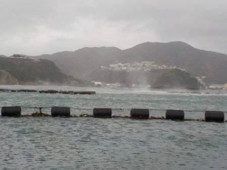 淡路じゃのひれフィッシングパーク 釣果