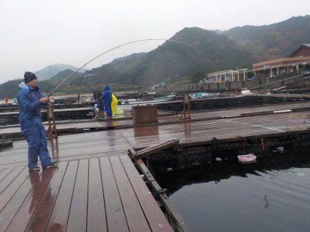 淡路じゃのひれフィッシングパーク 釣果