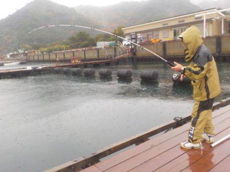 淡路じゃのひれフィッシングパーク 釣果