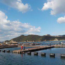 淡路じゃのひれフィッシングパーク 釣果