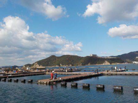 淡路じゃのひれフィッシングパーク 釣果