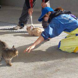 淡路じゃのひれフィッシングパーク 釣果