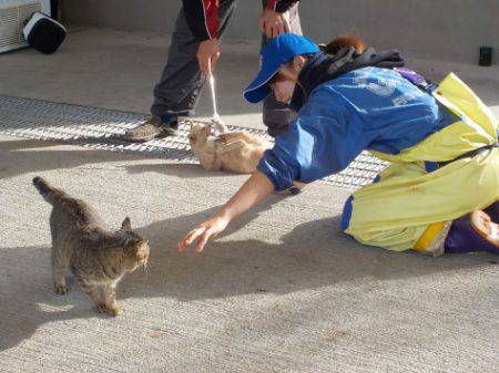 淡路じゃのひれフィッシングパーク 釣果