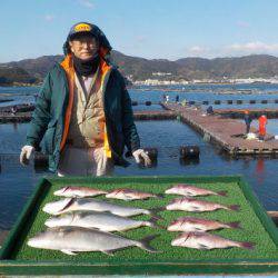 淡路じゃのひれフィッシングパーク 釣果