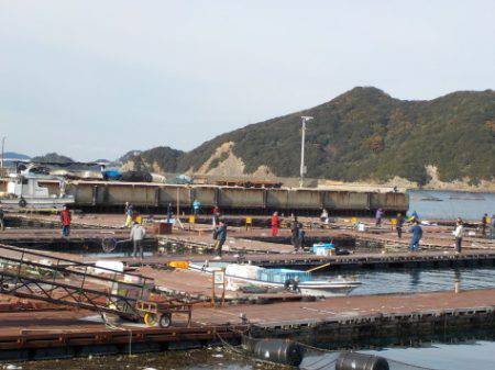 淡路じゃのひれフィッシングパーク 釣果