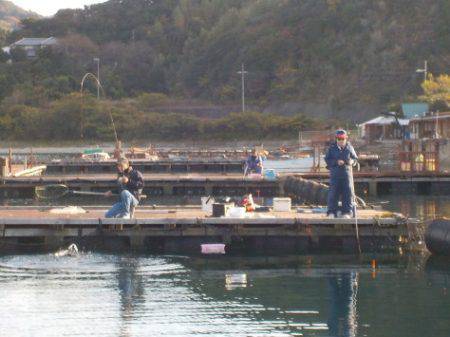 淡路じゃのひれフィッシングパーク 釣果