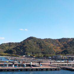 淡路じゃのひれフィッシングパーク 釣果