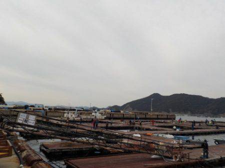 淡路じゃのひれフィッシングパーク 釣果