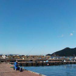 淡路じゃのひれフィッシングパーク 釣果