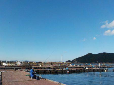 淡路じゃのひれフィッシングパーク 釣果