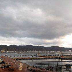 淡路じゃのひれフィッシングパーク 釣果